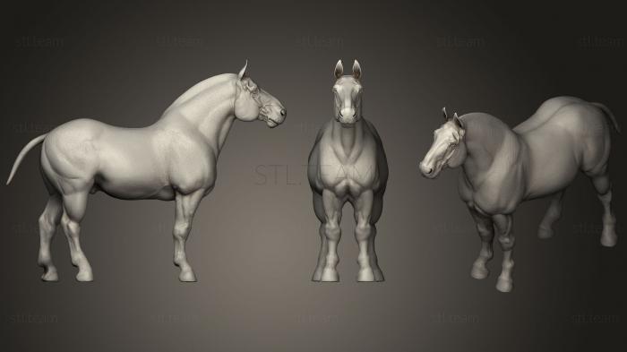 3D model Draft Horse 2 (STL)